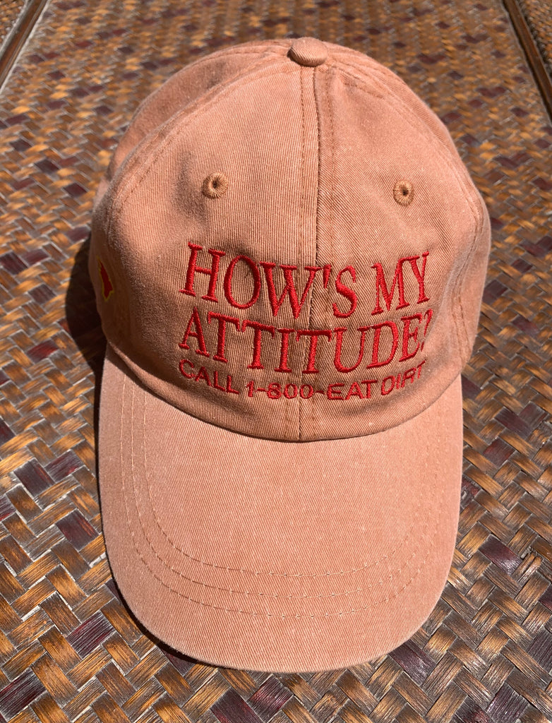 How's My Attitude Hat